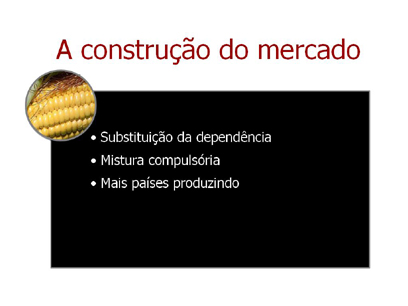 080116 Roberto Rodrigues 17